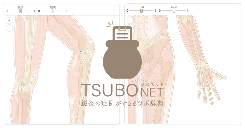 ツボネットについて