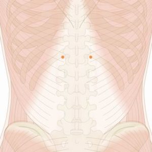 脾兪（ひゆ）01