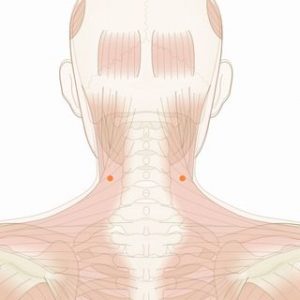 風雅（ふうが）01