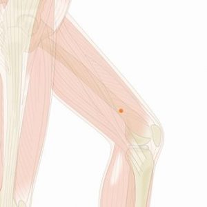 峡川（きょうせん）01