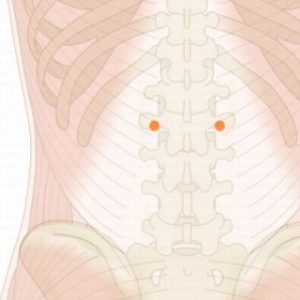 三焦兪（さんしょうゆ）01