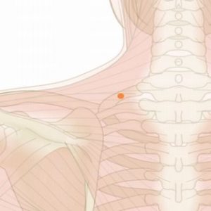 肩合（けんごう）01