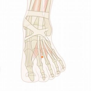 衝陽（しょうよう）01