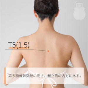 T5(1.5)（）03