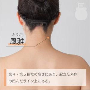 風雅（ふうが）02