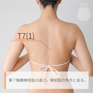 T7(1)（）03