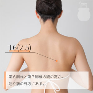 T6(2.5)（）03