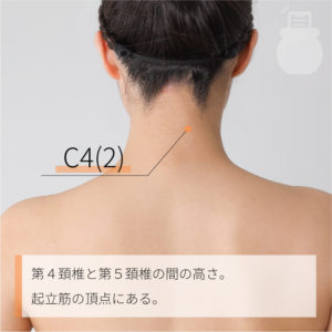 C4(2)（）02