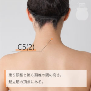 C5(2)（）02