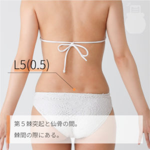 L5(0.5)（）02