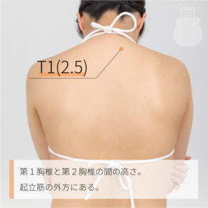 T1(2.5)（）02