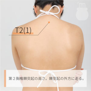 T2(1)（）02