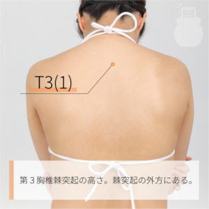 T3(1)（）02