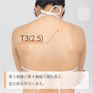 T3(2.5)（）02