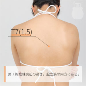 T7(1.5)（）02