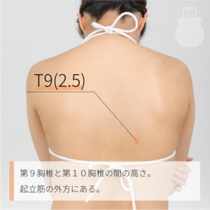 T9(2.5)（）02