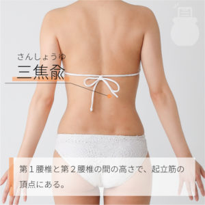 三焦兪（さんしょうゆ）03