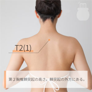 T2(1)（）03