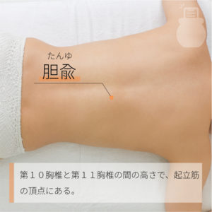 胆兪（たんゆ）03